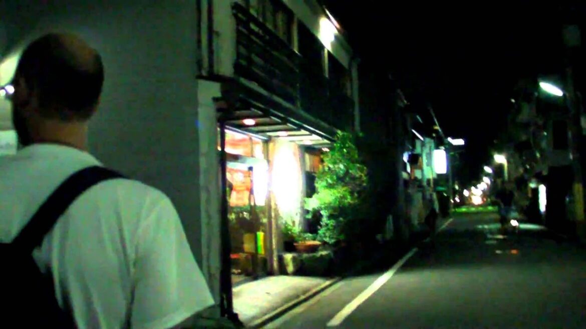 Japan 2010! P.12 Takigawa Ryokan, Kyoto!