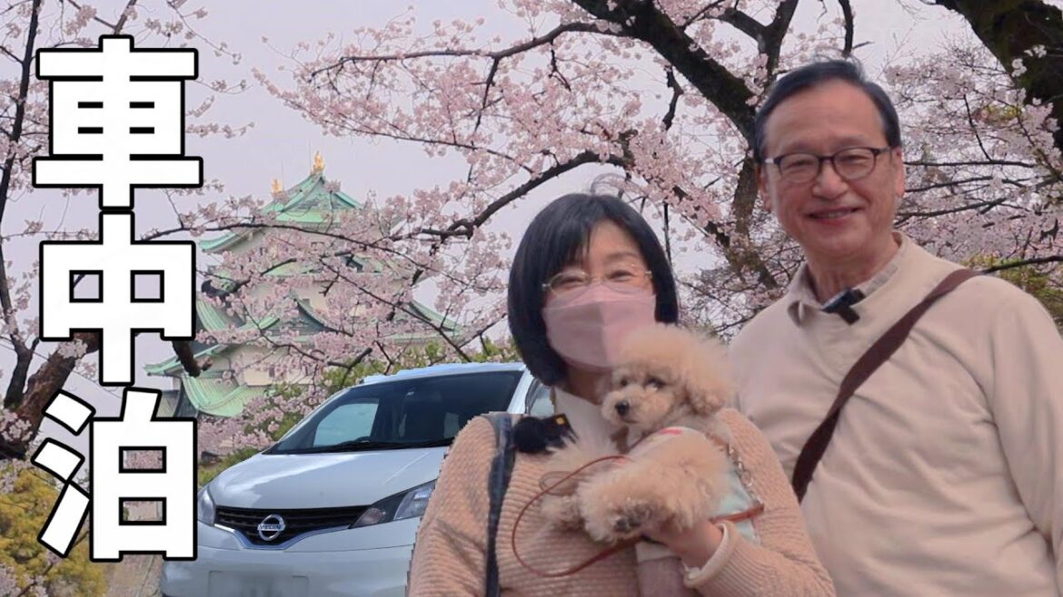 岐阜縦断#1 徳川家康公ゆかりの名古屋城の桜～織田信長公ゆかりの岐阜城の大パノラマを車中泊で巡ります