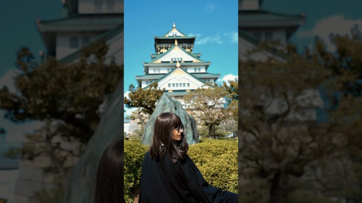 A Tourist's Guide to Osaka and Beyond
