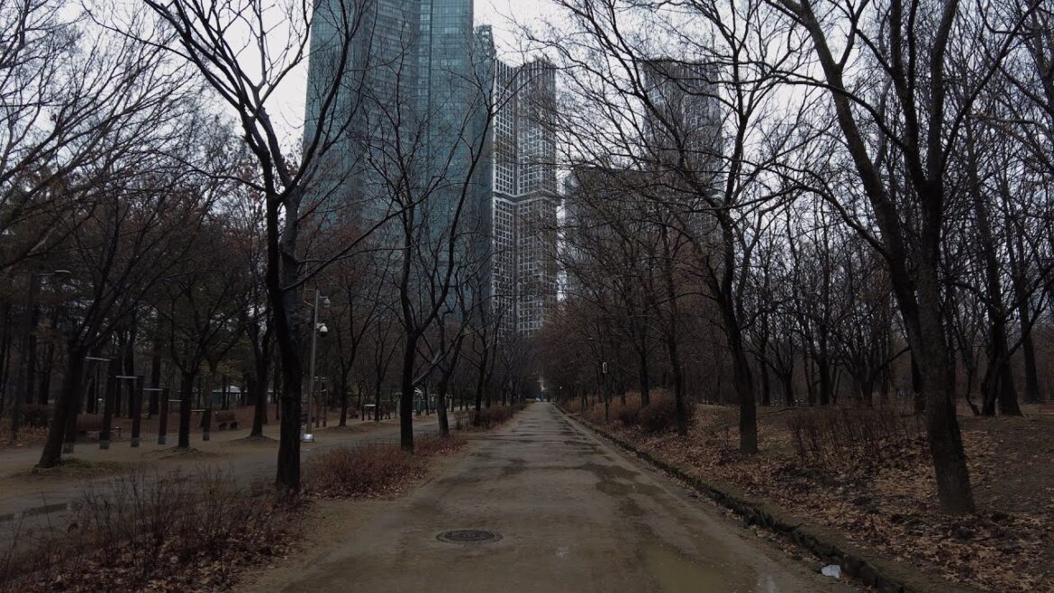 Relaxing Walking in the Rain Seoul Forest, Korea 4K ASMR | Rain Ambience Umbrella Sounds Sleep Study
