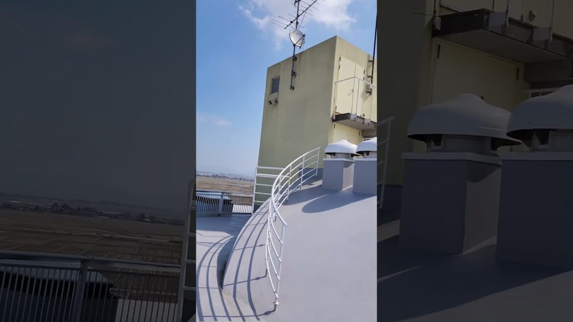 ビュー福島潟展望台からの景色