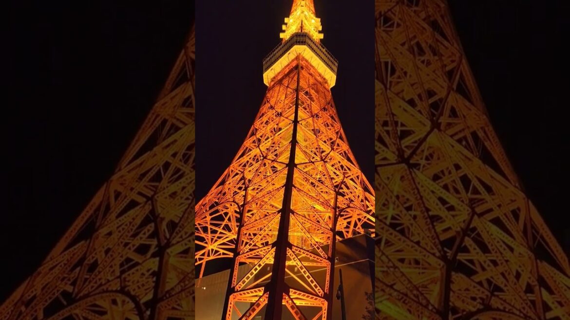 Tokyo Tower #subscribe #shortvideo #tokyo2023 #tokyotower #viral #vacation