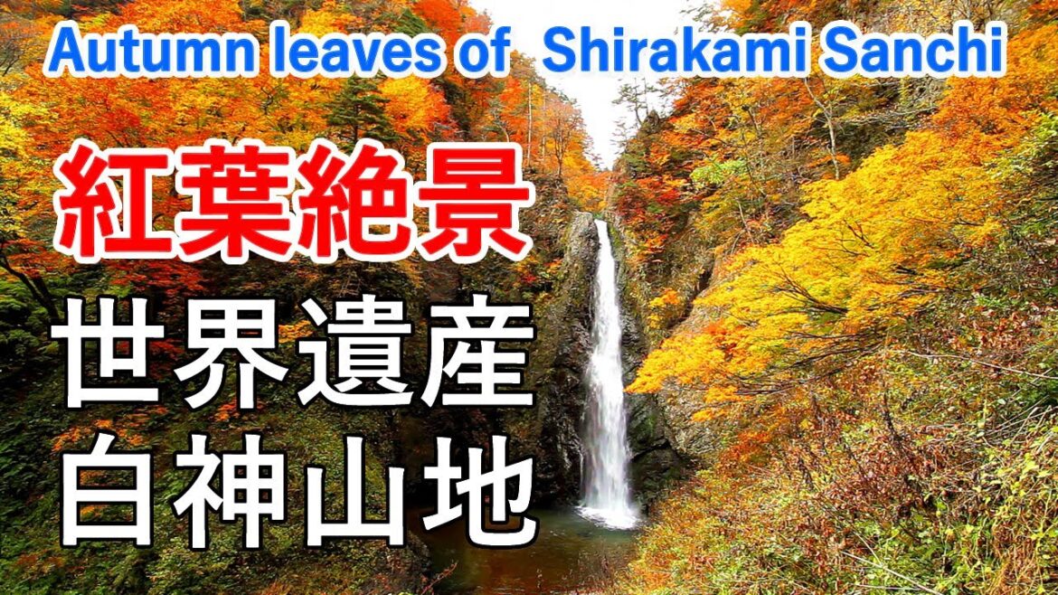 世界遺産 白神山地の紅葉絶景めぐり ( 暗門の滝 / 十二湖 / 岳岱 ) / Autumn leaves of Shirakami-Sanchi ( Japan )【日本の紅葉絶景！】 [ 4K ]