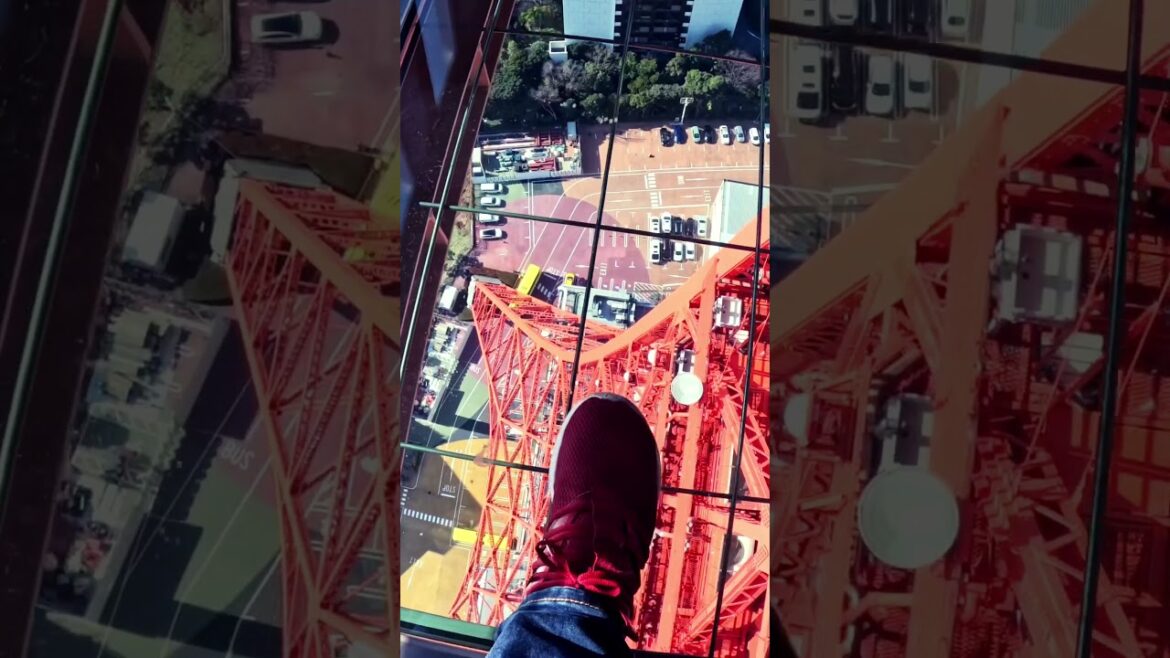 Best Views in Japan! Explore Tokyo Tower, Skytree Tower, and Kyoto Tower