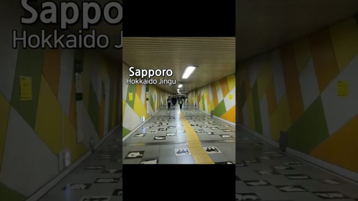 今札幌の北海道神宮に行きます