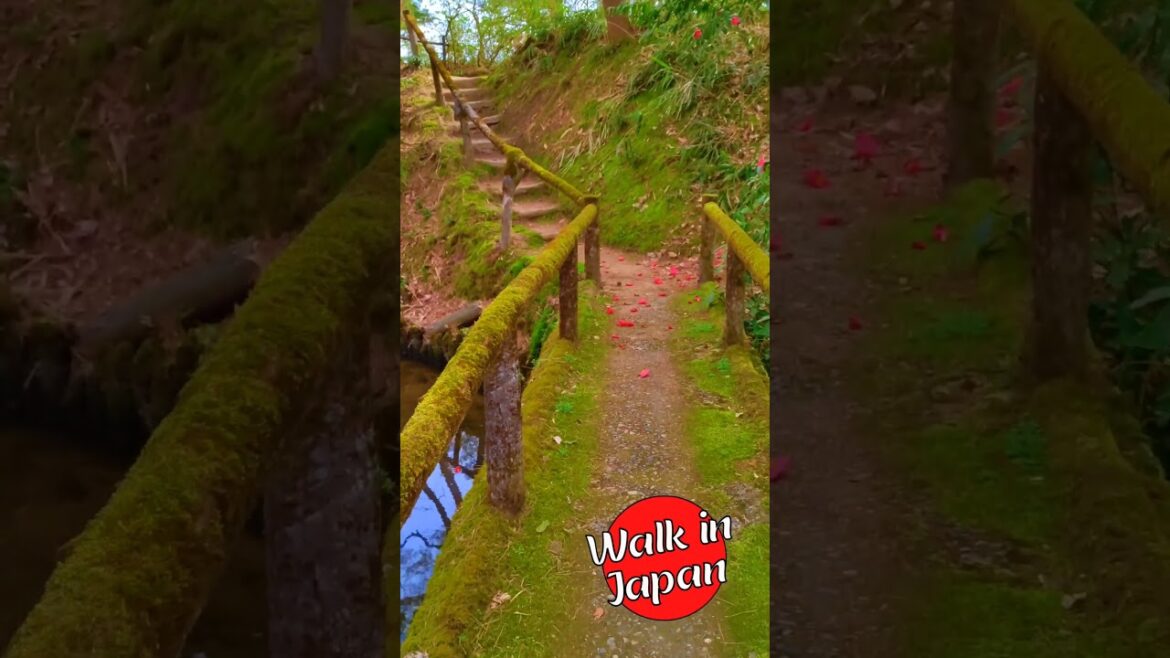 Mossy Hobbit Bridge in a Japanese Garden #shorts