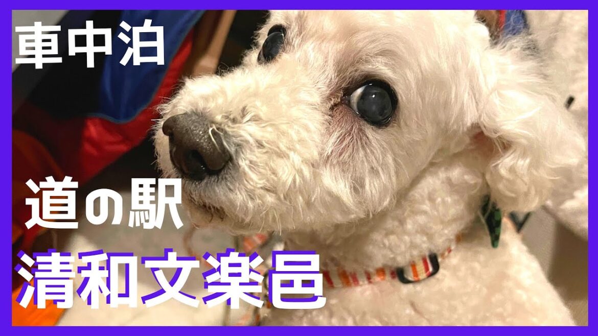 道の駅清和文楽邑/文楽館◍キャンピングカーで行く熊本パワースポット◍九州道周遊パス◍ Kumamoto by Camper ◍ Roadside Station Seiwa Bunrakumura 道の駅清和文楽邑/文楽館◍キャンピングカーで行く熊本パワースポット◍九州道周遊パス◍ Kumamoto by Camper ◍ Roadside Station Seiwa Bunrakumura