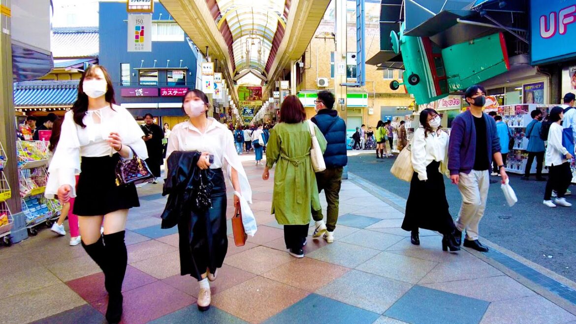 Kyoto Walk 🐶🍻 Playable Shijo Kawaramachi♪ 💖4K non-stop 1 hour 02 minutes Kyoto Walk 🐶🍻 Playable Shijo Kawaramachi♪ 💖4K non-stop 1 hour 02 minutes