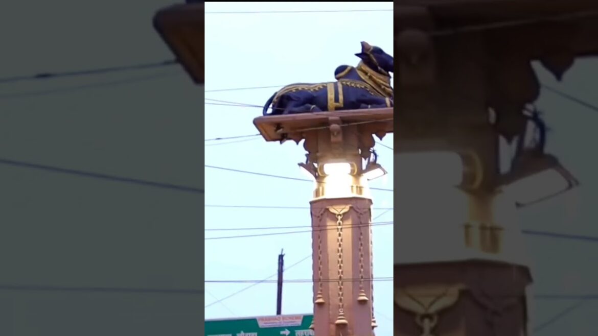 Day 81 subah e Banaras #banaras #kashi #minivlog Traveling Godfather