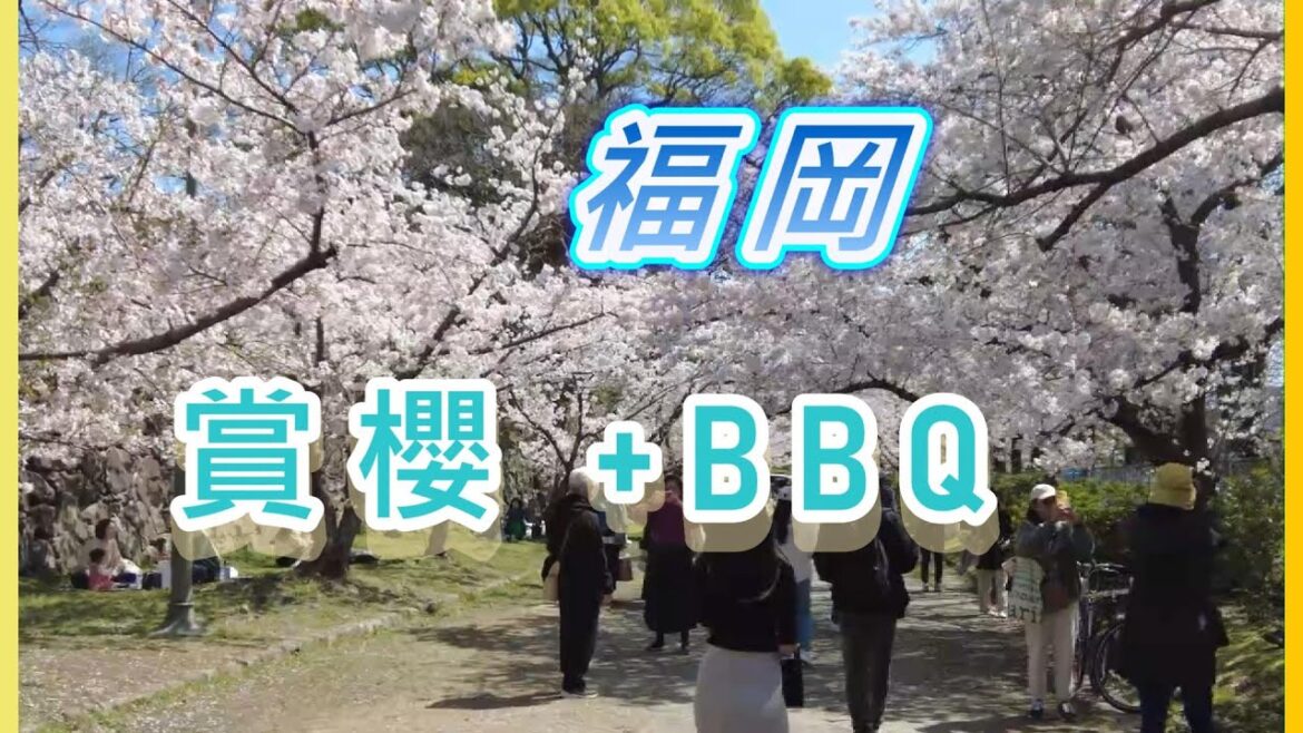 福岡長濱鮮魚市場值得到嗎  一邊燒烤 一邊賞櫻 福岡如此多 FUN EP1