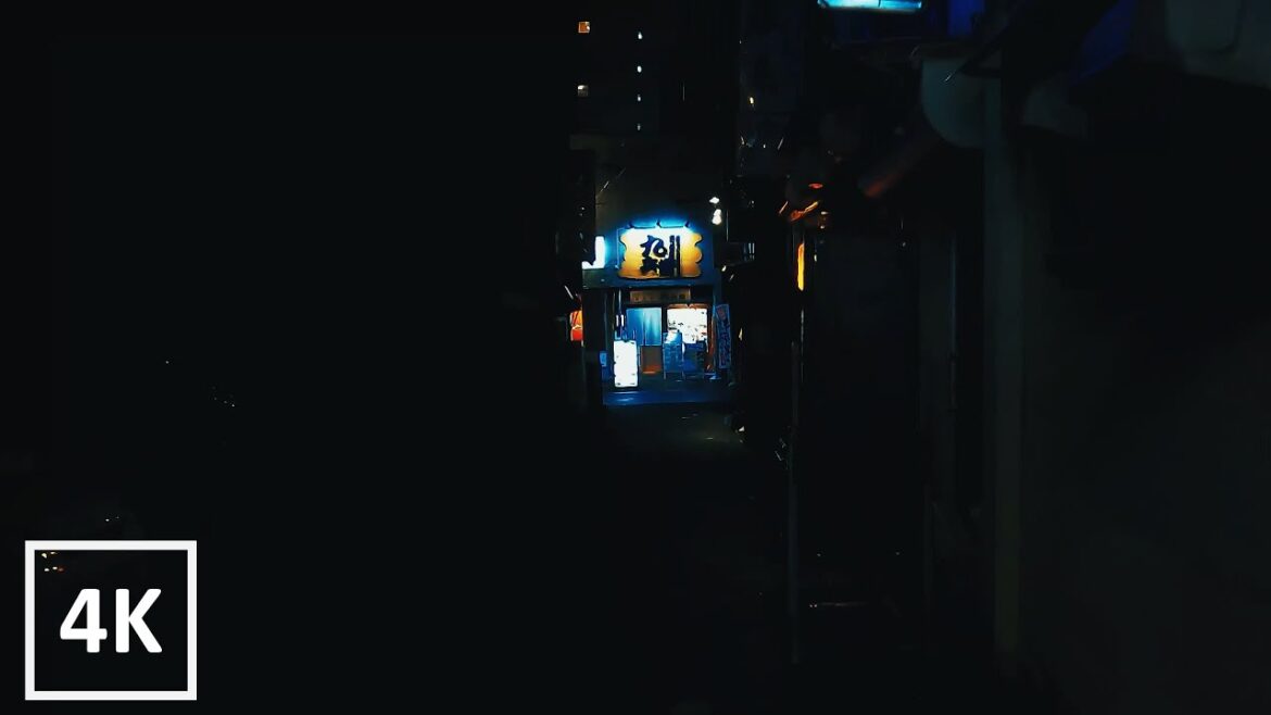 【4K】Walking in Niigata, Japan | Night Time | ASMR