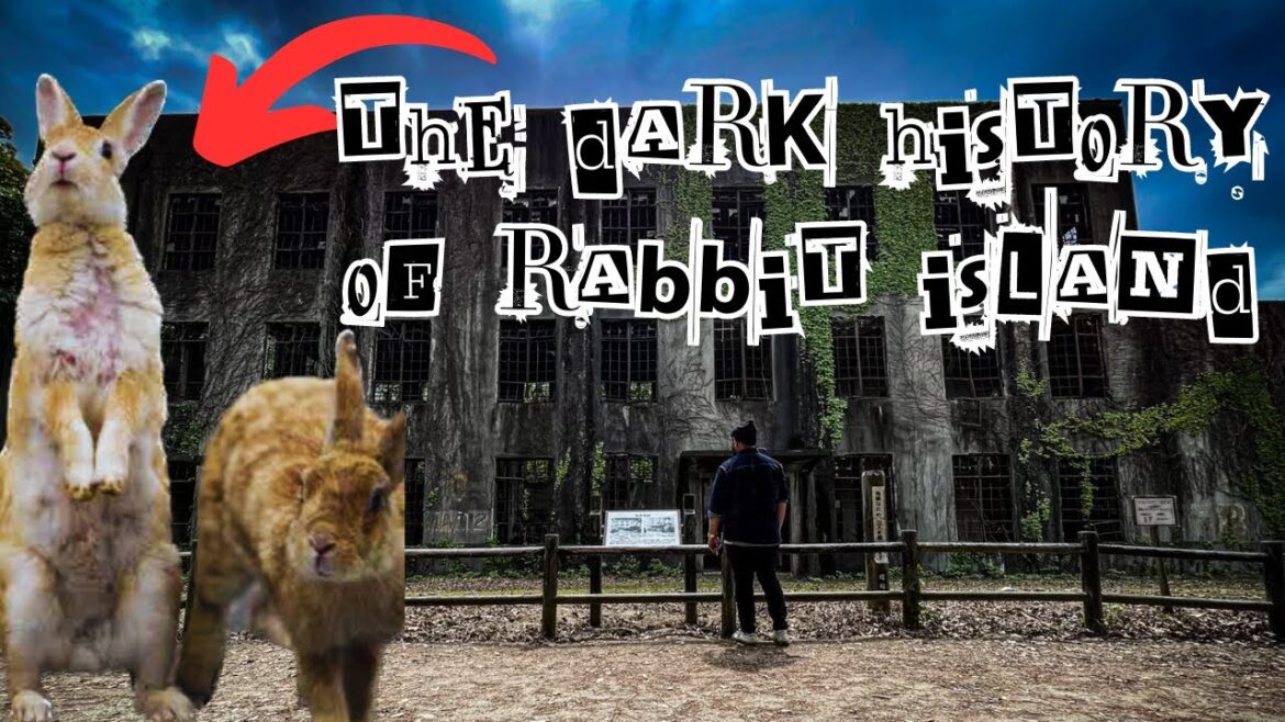 HIROSHIMA | THE DARK HISTORY OF OKUNOSHIMA | VISITING JAPAN'S RABBIT ISLAND | RAMVID #64