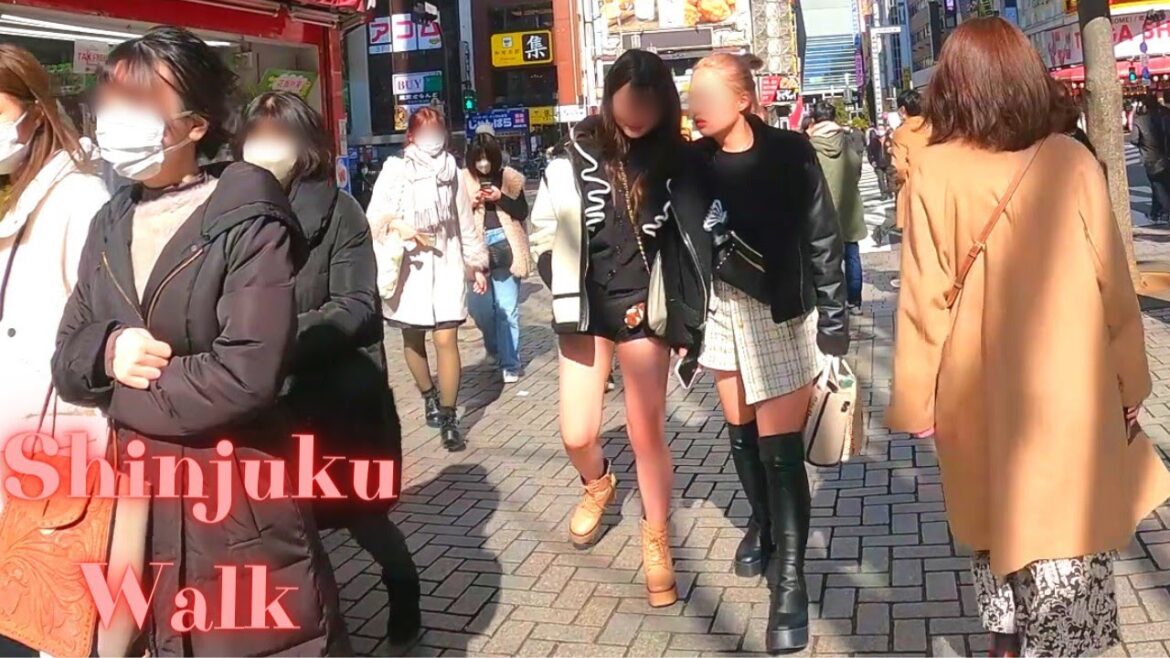 Kabukicho Shinjuku Tokyo in Japan walking tour.【4K】2.2023 Kabukicho Shinjuku Tokyo in Japan walking tour.【4K】2.2023