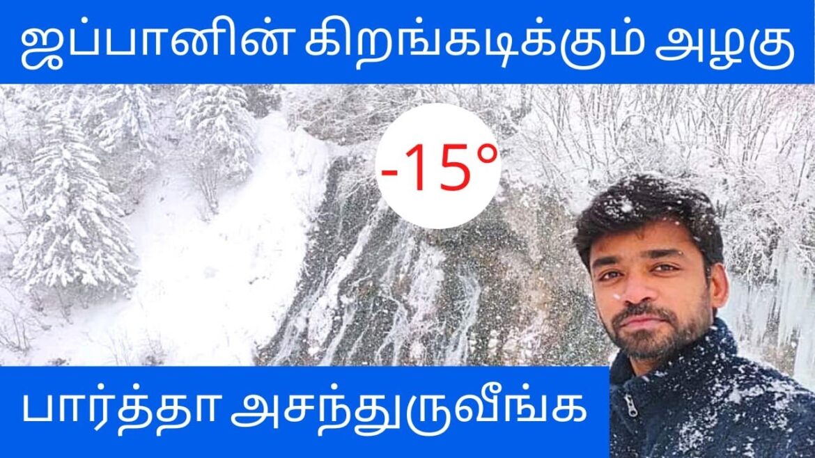 JAPAN IN WINTER  | Shirogane Waterfall | #shorts | Tamil Travel Vlog | Backpacker Kumar