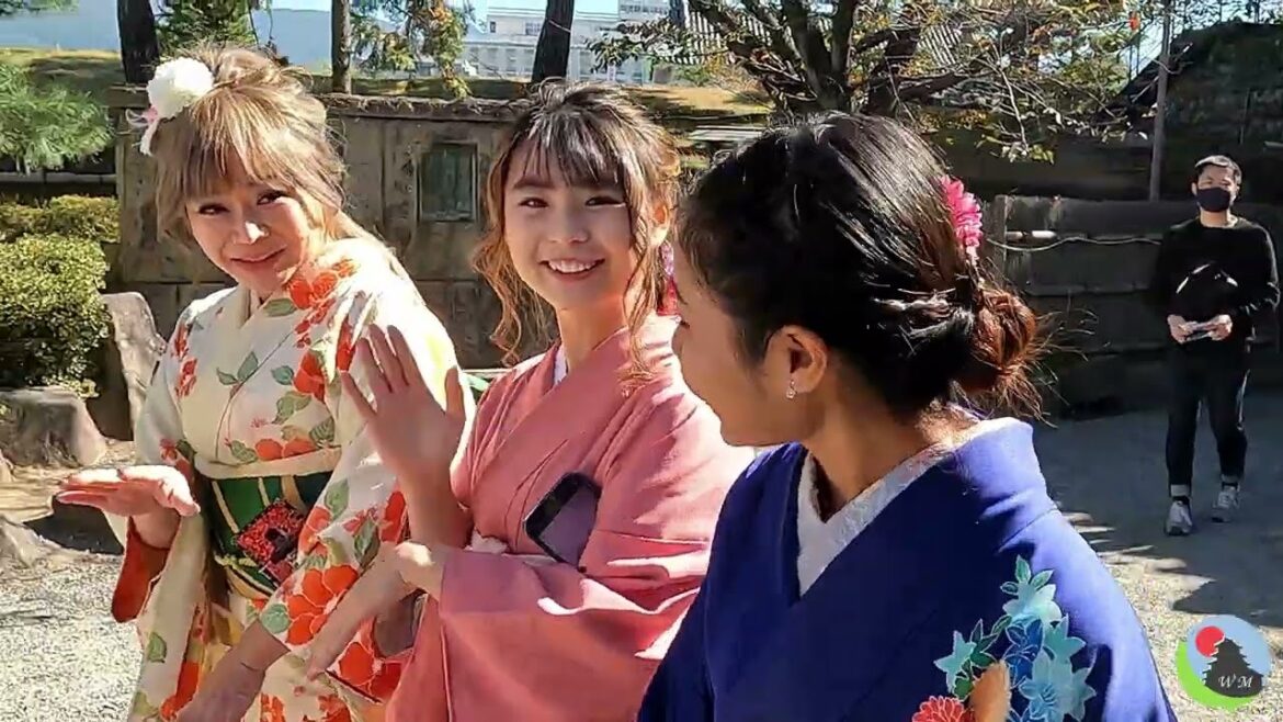 Kimono, Sushi & Hiking in the heart of Japan (inc. Tea Ceremony, Wasabi and Wine)