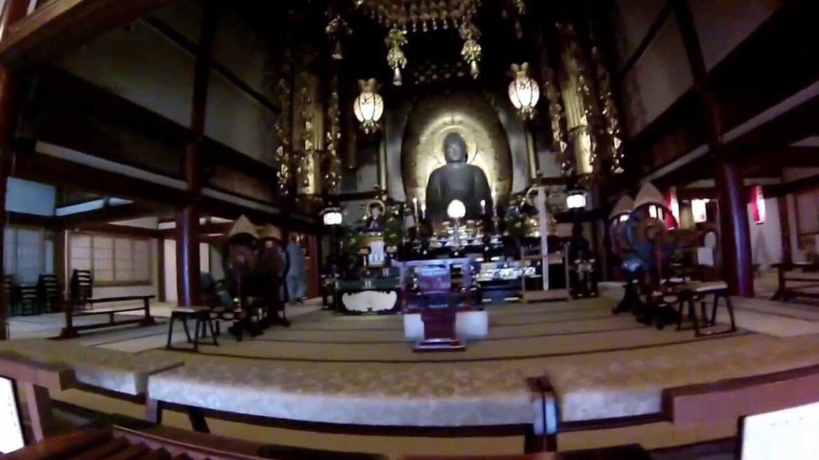 Kyoto To Hiroshima To Tokyo To Thailand