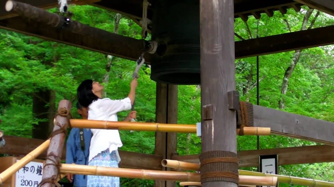 Japan 2010! P.5 Padiglione d'oro Kinkaku ji, Kyoto!