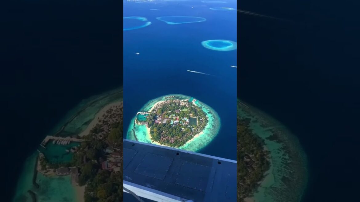 From Bali to Bora Bora: Exploring the world's most popular island destinations! #shorts #travel