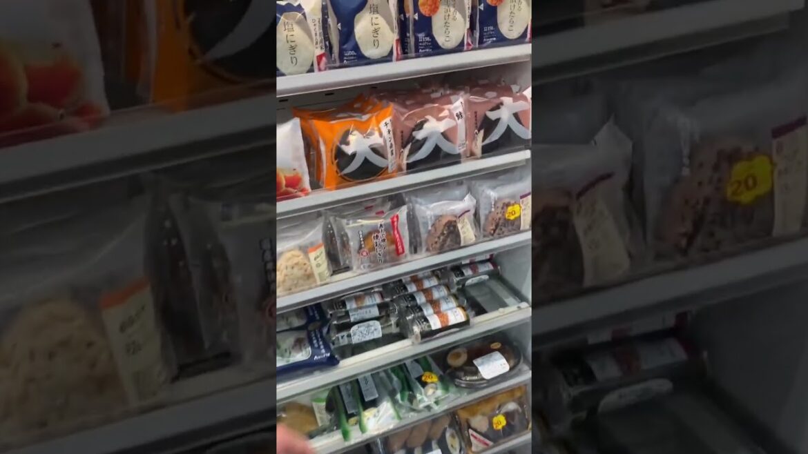 How To Get From Narita Airport to Tokyo #travel