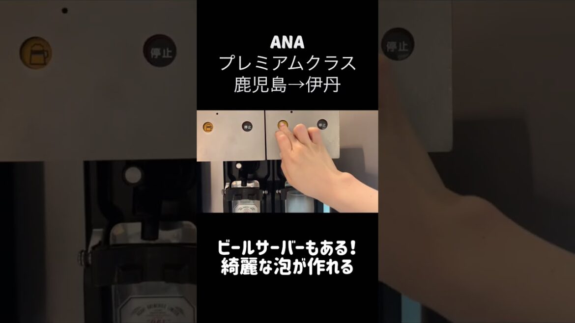 【至福の時間】ANAプレミアムクラス🛩のワンランク上の旅を体験してみた