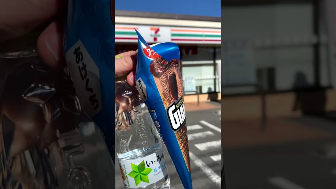 How to Visit Mount Fuji in Japan How to Visit Mount Fuji in Japan