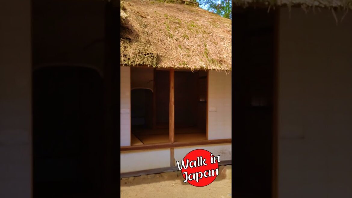 Charming Tea Ceremony Hut in a Japanese Garden #shorts