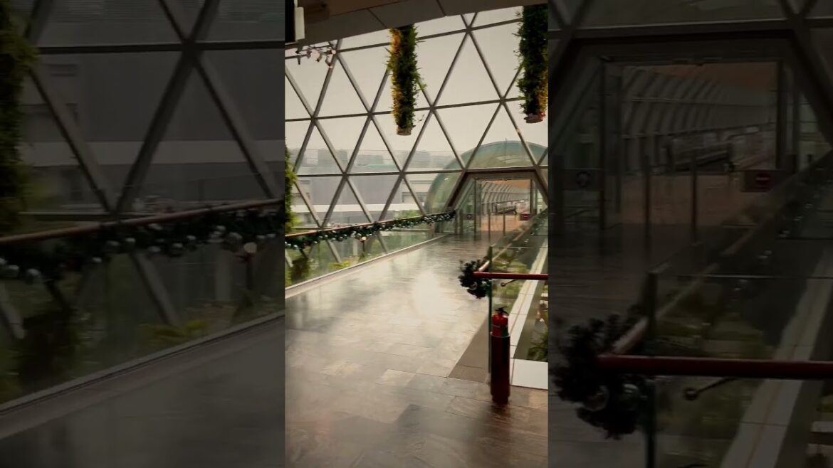 Facts About Changi Airport #shorts #travel #travelvlog #trending #youtubeshorts #singapore #changi