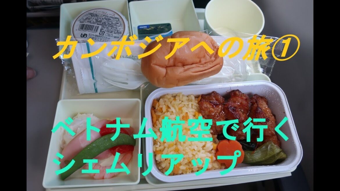 カンボジアへの旅1・シェムリアップへ/Travel to Siamreap,Cambodia カンボジアへの旅1・シェムリアップへ/Travel to Siamreap,Cambodia