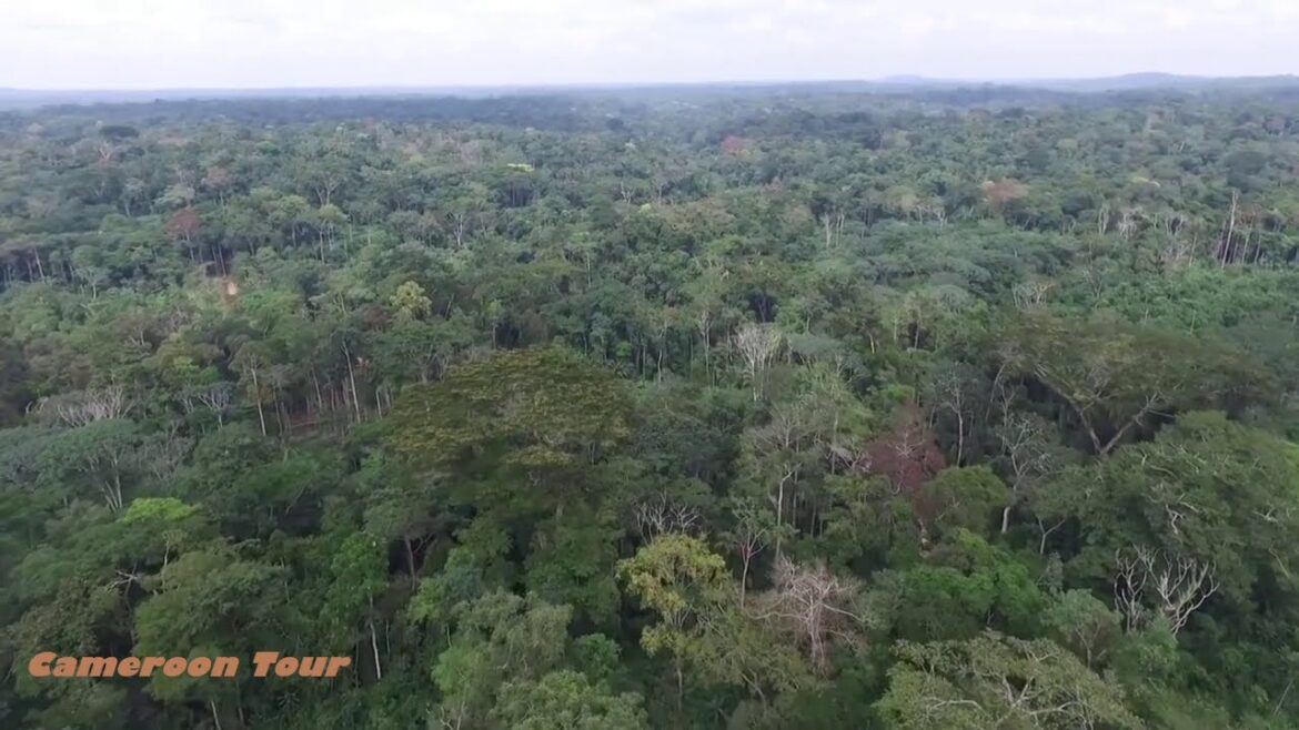 Cameroon Tour Cameroon Tour