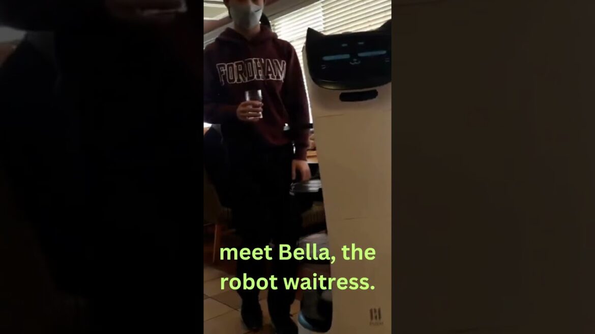 meeting Bella, a robot waitress in Hiroshima, Japan.                #shorts