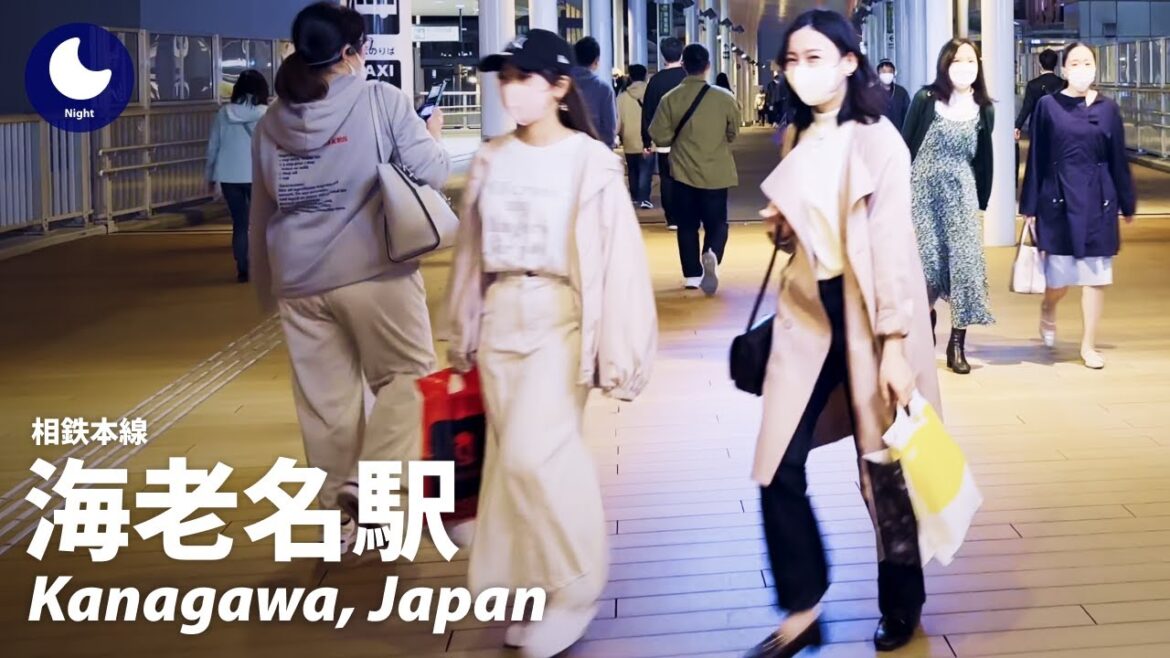 ⁴ᴷ Kanagawa: Ebina Station (海老名駅) – Japan Walking Tour (April, 2023) ⁴ᴷ Kanagawa: Ebina Station (海老名駅) - Japan Walking Tour (April, 2023)