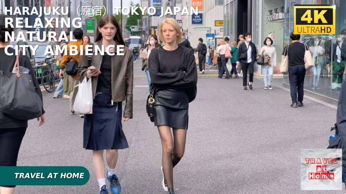 4k hdr japan travel | Walk in Harajuku（原宿）Tokyo japan |  Relaxing Natural City ambience