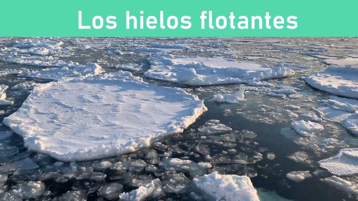 Quería ver el témpano flotante: Abashiri, Hokkaido #japantravel