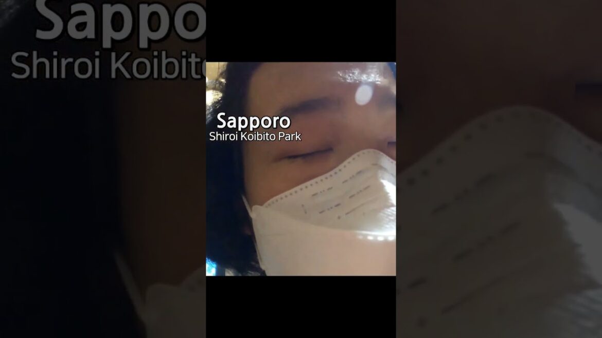 世界で一番可愛いピアノ演奏