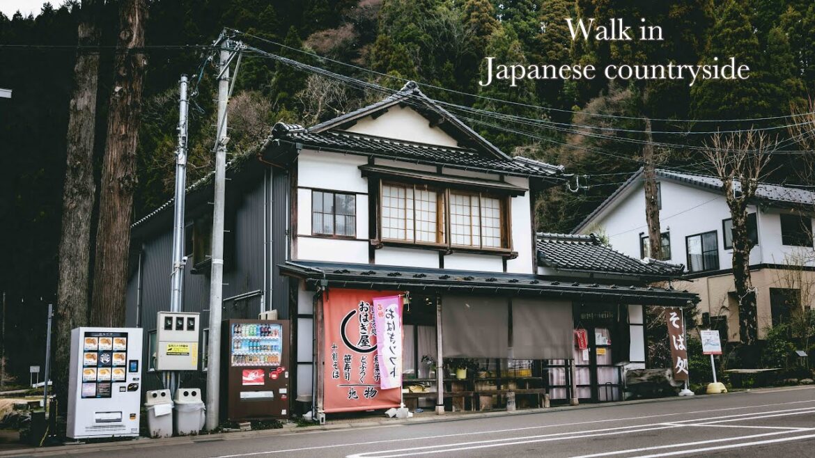walk in Japanese Countryside | Hakusan City,(Hakusan hime shrine)