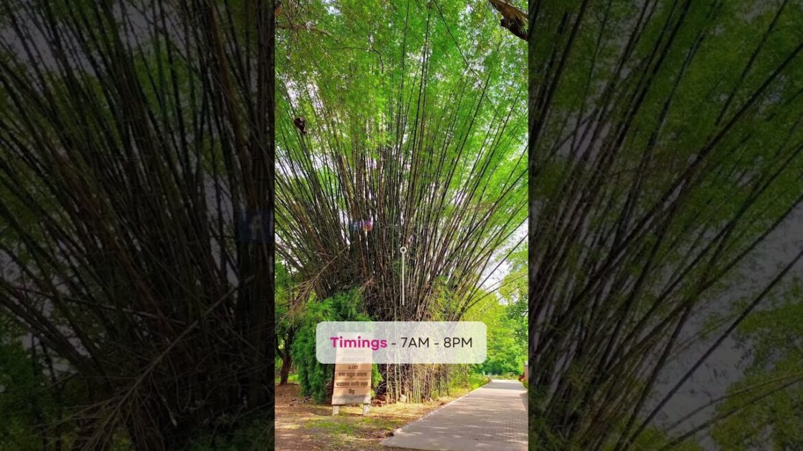 Garden parks in Pune ❤️...  part 1 #punetouristplaces  #punetimes #punecity
