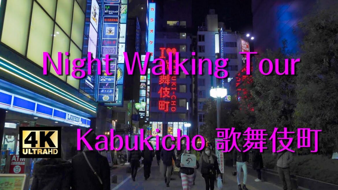 Tokyo 4K, “Sleepless Town”, Shinjuku Night Walking Tour #2 Tokyo 4K, "Sleepless Town", Shinjuku Night Walking Tour #2