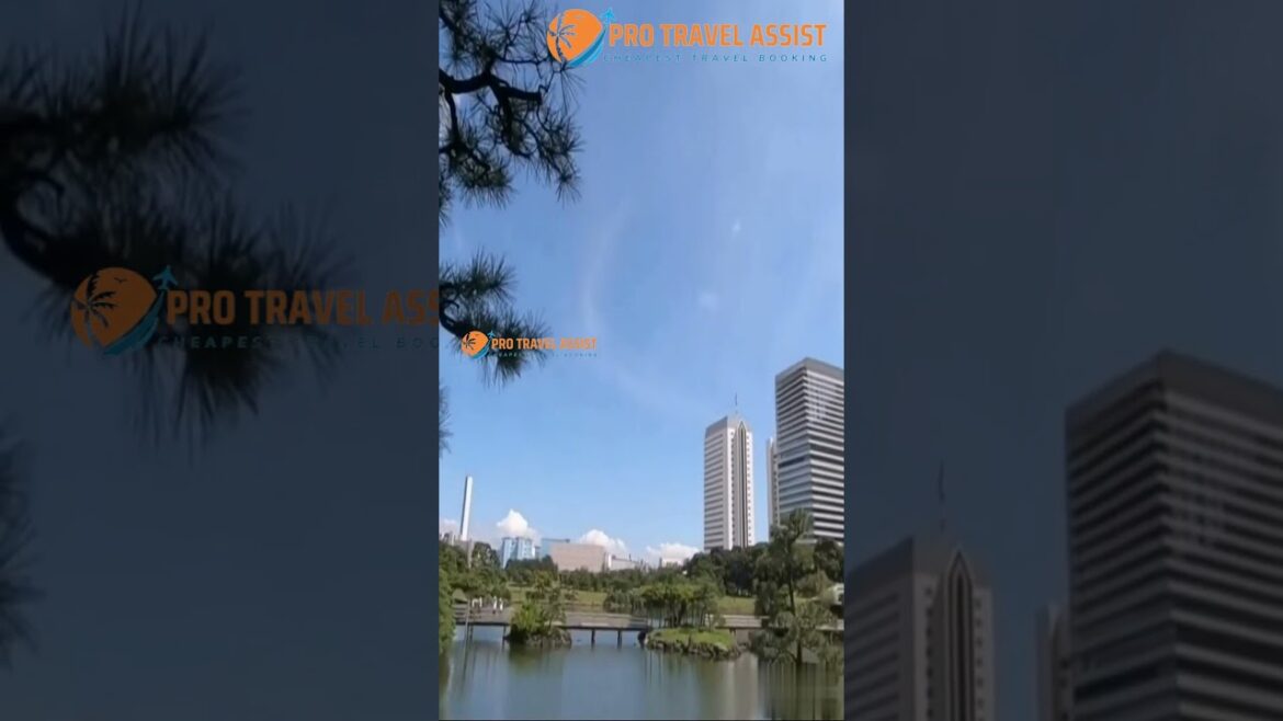 Tokyo Travel Guide: Top 3 Must-See Spots for Short Trips