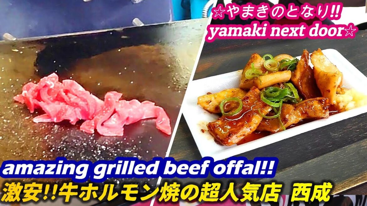 【やまきのとなり!! 激安で絶品の牛ホルモン焼が食べれる店!! 西成】ホルモン航 horumonyaki WATARU grilled meat yakiniku street food japan