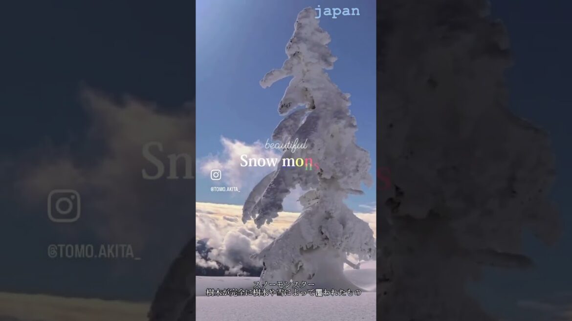 雪の贈り物。Snow Monster #東北観光 #おすすめ #akita #スキー場