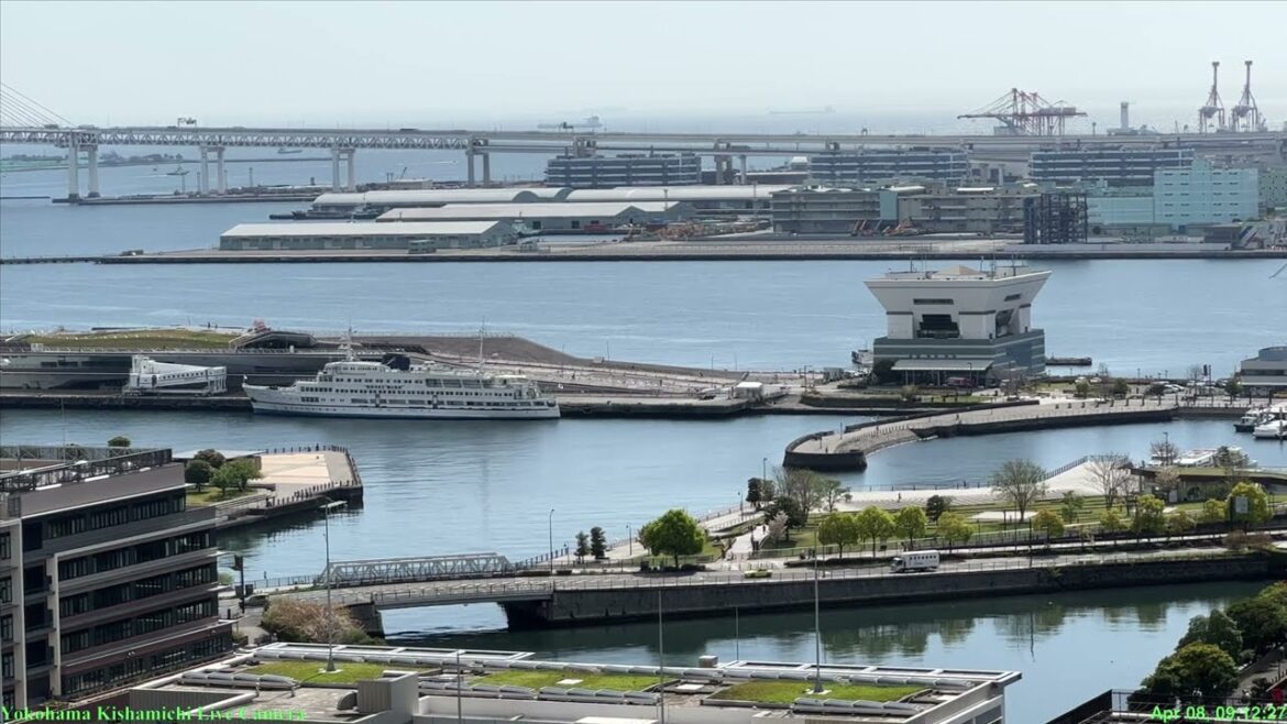 🔴Live Cam Yokohama Japan /横浜汽車道ライブカメラ 大さん橋 :8 Apr 2023 🔴Live Cam Yokohama Japan /横浜汽車道ライブカメラ 大さん橋 :8 Apr 2023