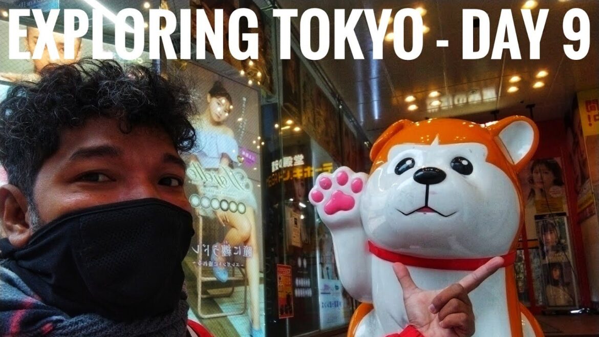 Exploring Tokyo - Day 9 - Shibuya, Narita International Airport