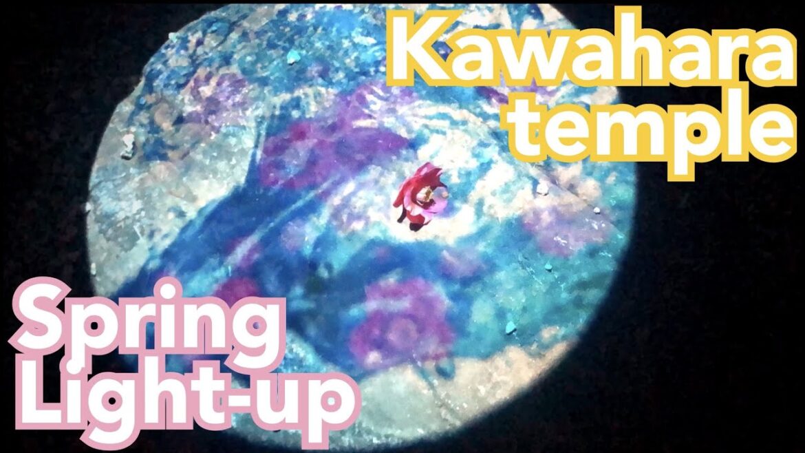 【Nara trip -Kawahara Temple-】Part 2 【Nara trip -Kawahara Temple-】Part 2