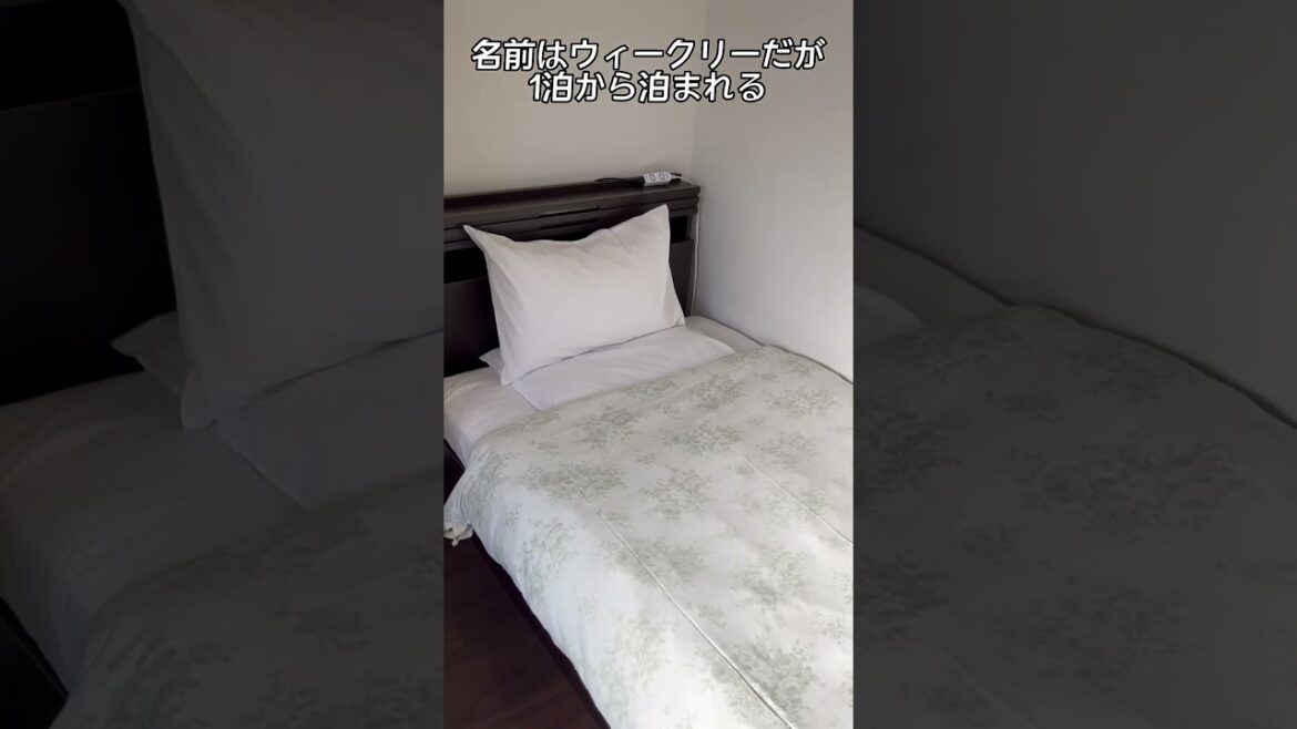 ウィークリーさっぽろ 本館&アネックスは、地下鉄すすきの駅やZepp Sapporo近くのホテル / Sapporo Trip