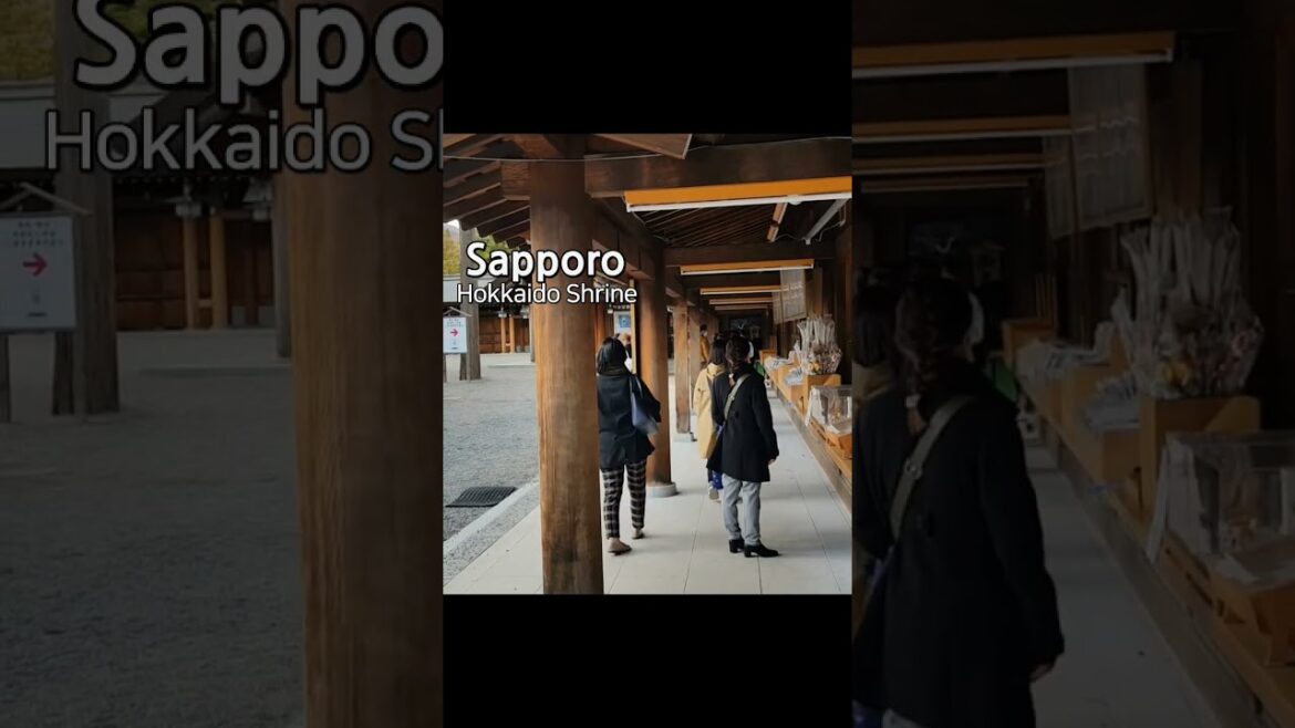 北海道神宮で出会った可愛らしい子供さん #かわいい