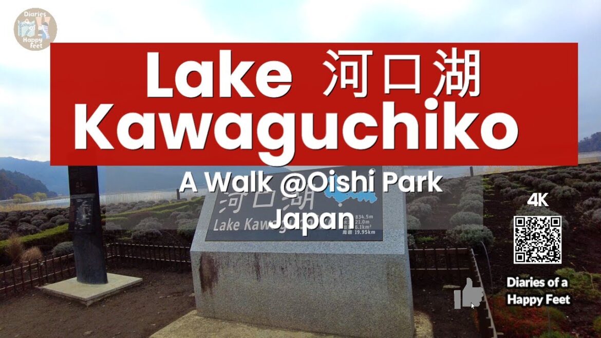 Diaries of a Happy Feet : 🚶‍♂️ Strolling Around Lake Kawaguchicko Mt Fuji 河口湖 Japan 🇯🇵🗾 [4K]