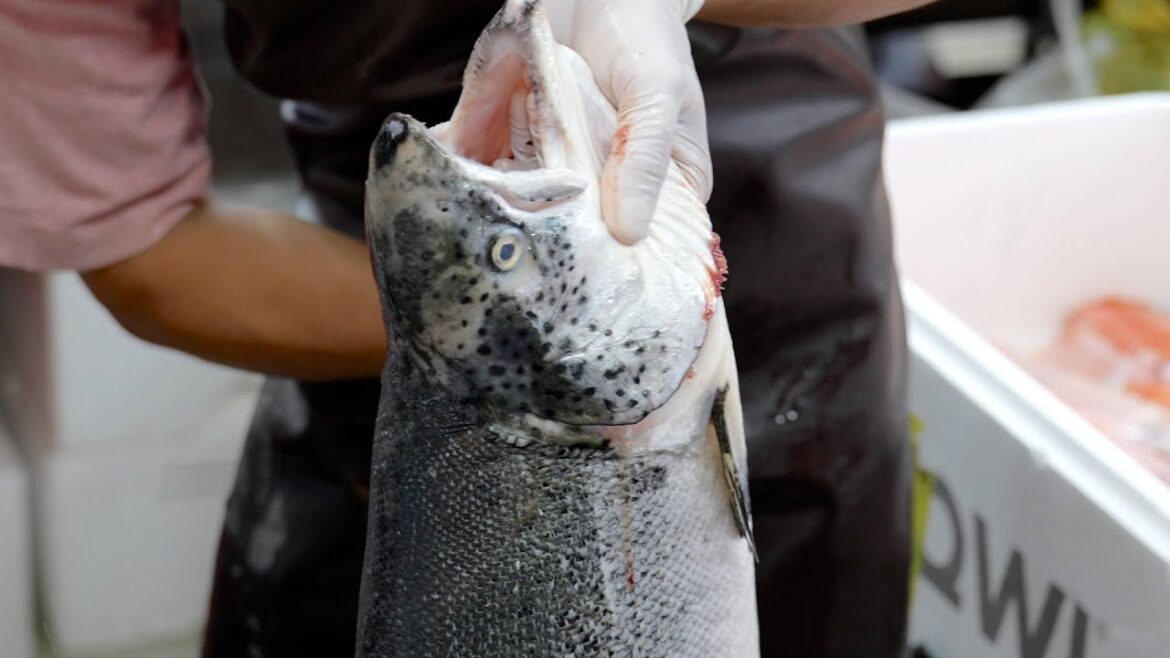 Incredibly fast salmon cutting master | Street food in Bangkok, Thailand Incredibly fast salmon cutting master | Street food in Bangkok, Thailand