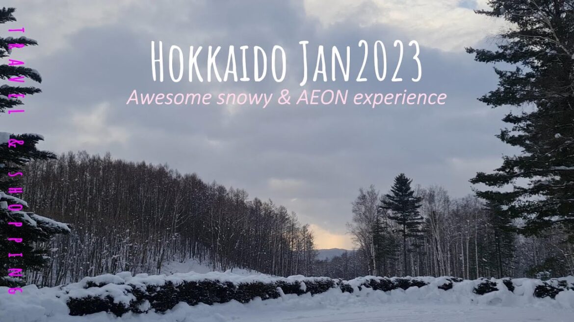 Lovely time traveling in wintery Hokkaido Japan in early January 2023