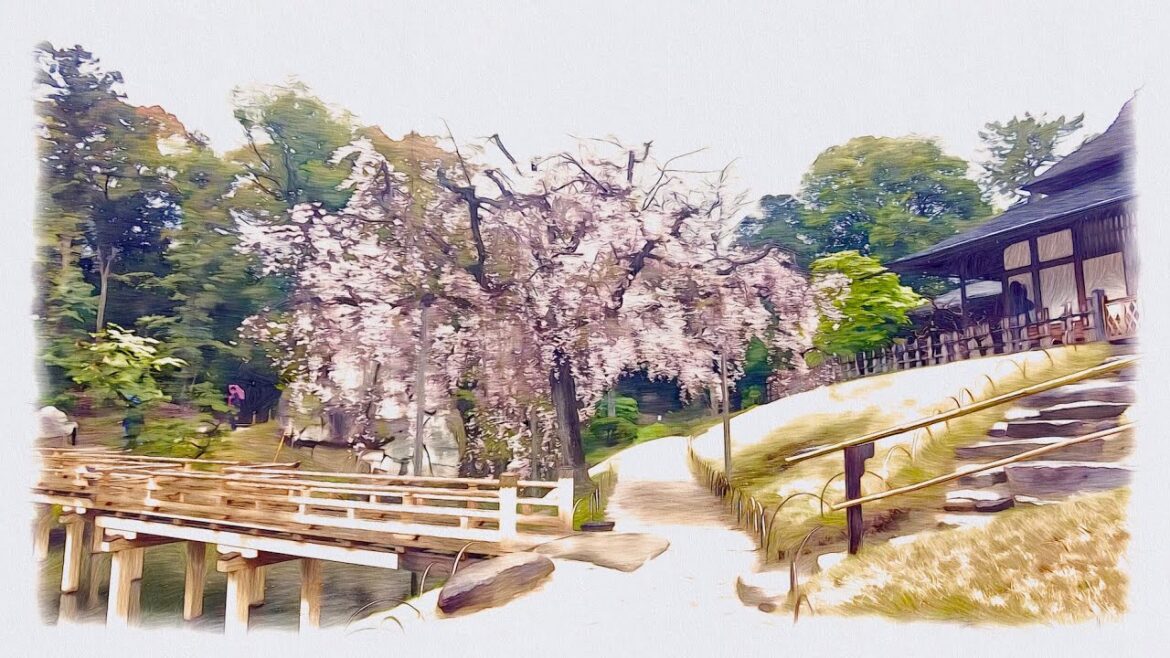 【Japan's Three Great Gardens】Walking in the rain（Okayama,Korakuen）4K ASMR