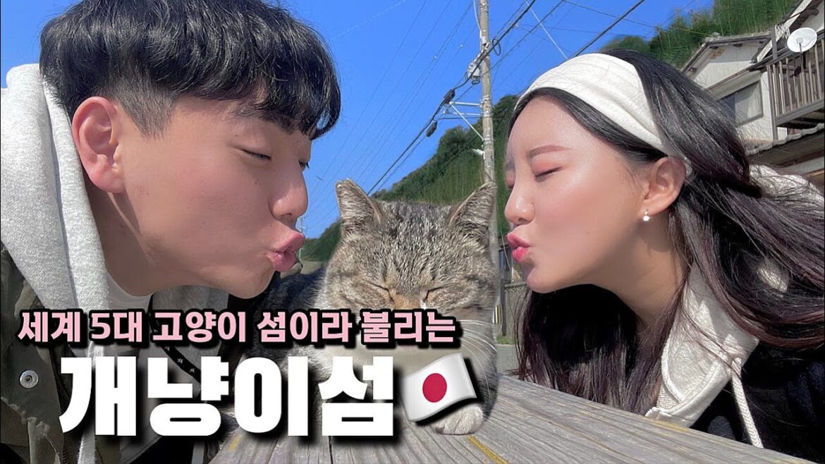 후쿠오카에 간다면 반드시 꼭 가야할 곳 [세계여행 / 일본 7]